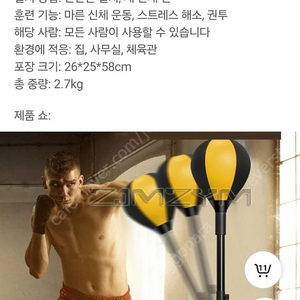 복싱 스피드볼 샌드백 팝니다. 벽걸이형 포함