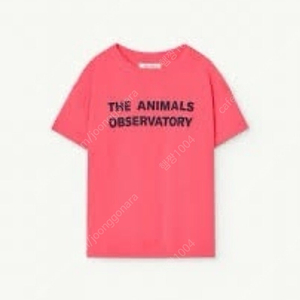 (새상품, 정품) 24ss 타오 베이직 오리온 티셔츠, 핑크 6y, 8y