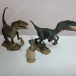 라보 공룡 랩터 판매
