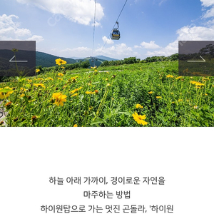 하이원리조트 케이블카 왕복권 및 워터파크 반값 할인권