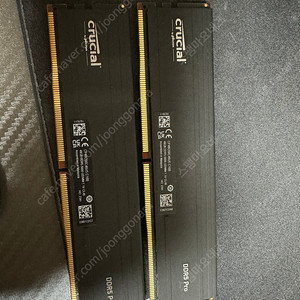 마이크론 Crucial DDR5-5600 PRO 96GB (48G*2)