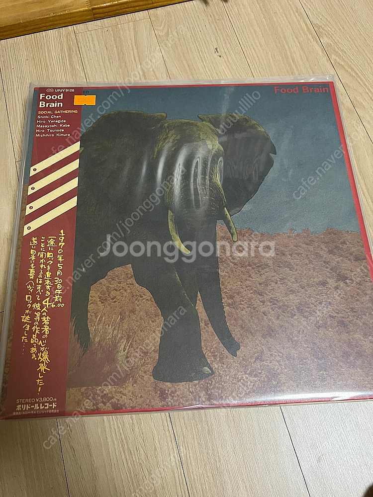 희귀 절판 일본음악 등 LP, CD, 카세트테이프 팝니...--6