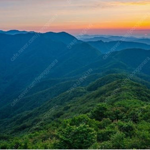 화물자동차 운송주선사업허가 양도 및 이삿짐센터 1234 2424 전화번호 일체