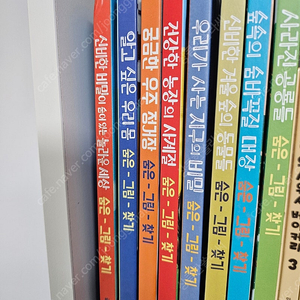 사파히 불빛그림책 8권