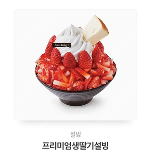 설빙 프리미엄생딸기설빙