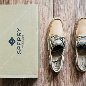 SPERRY 스페리 블루피쉬 보트슈즈 브라운 여성용 250 사이즈 판매