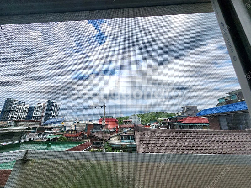 26일금요일 고척경기 외야 패밀리존 5인석 선예매 해주...--0