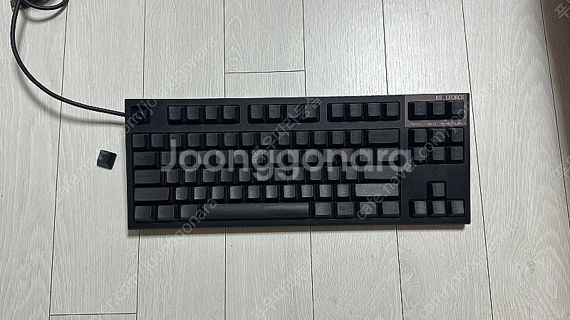 리얼포스r2 저소음적축 30g--2