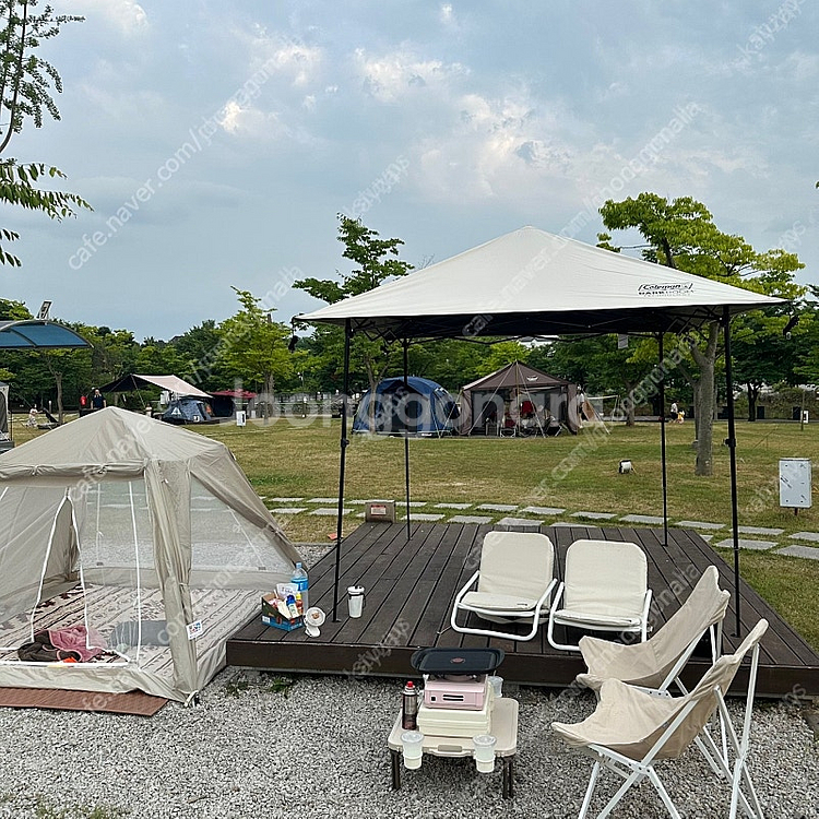 웨일테일 원터치 텐트--0