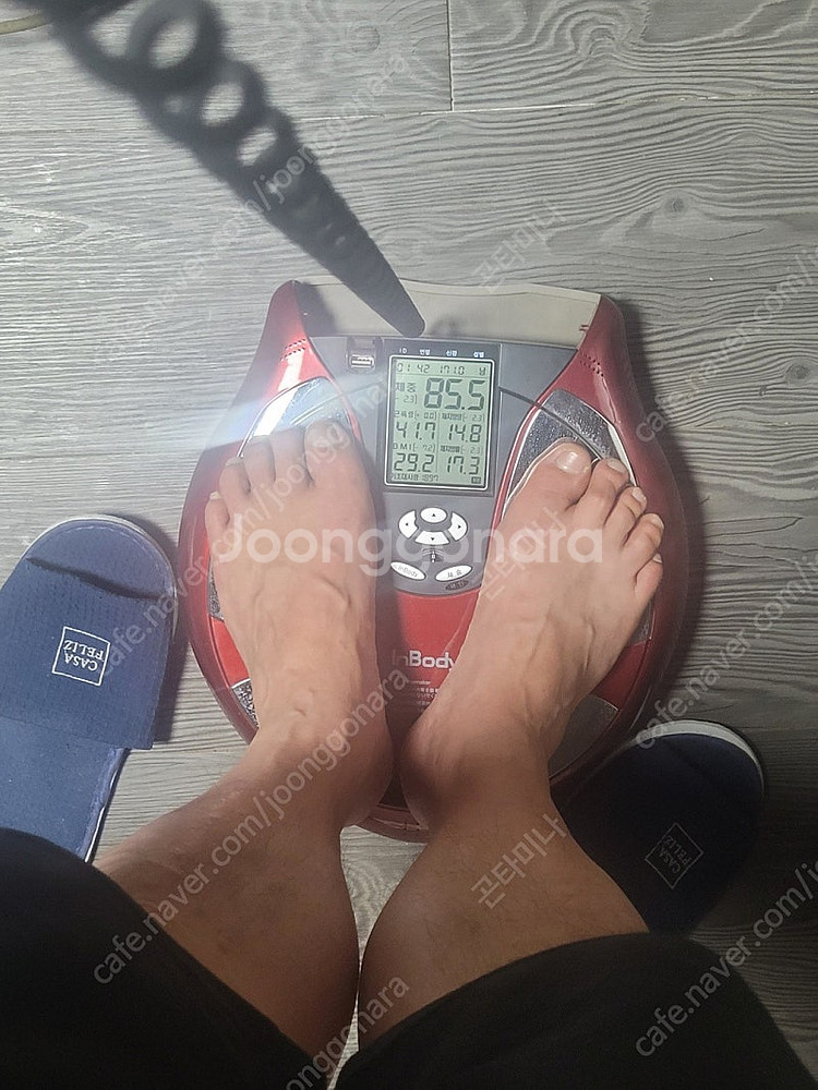 가정용 인바디 판매합니다.--2