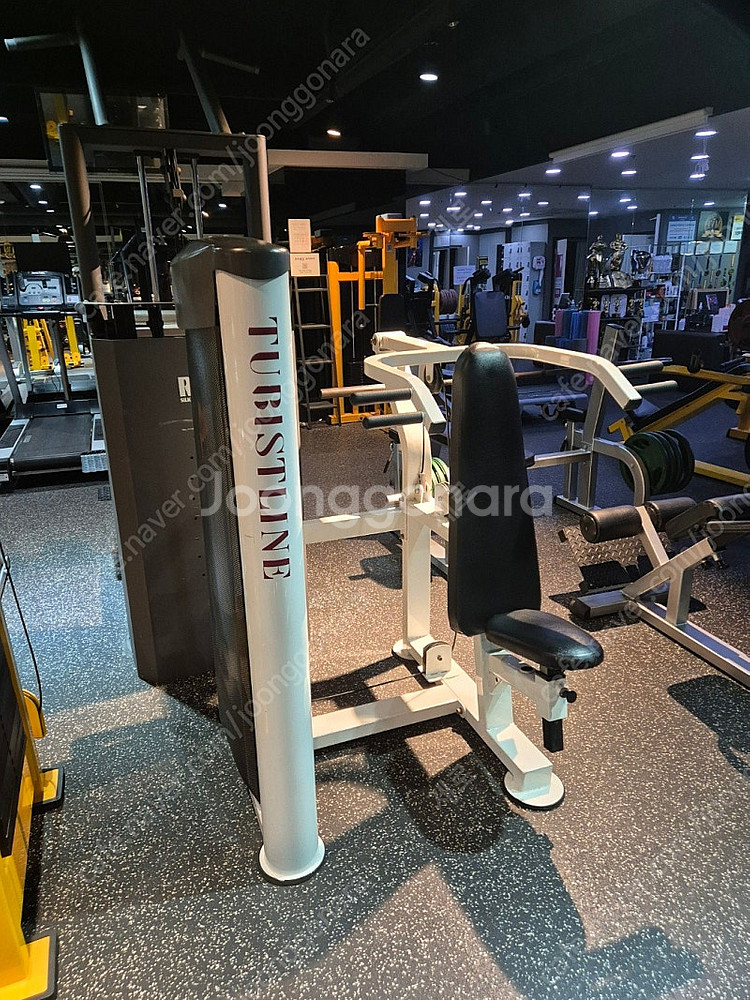 치닝디핑, 머신숄더프레스, 굿휘트니스 브이스쿼트, 팝니...--3