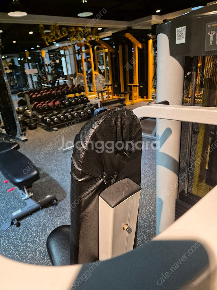치닝디핑, 머신숄더프레스, 굿휘트니스 브이스쿼트, 팝니...--4