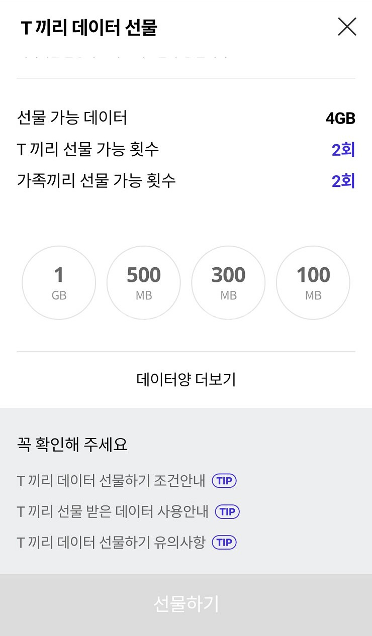 SKT 데이터 SK 데이터(T끼리 데이터 선물) 1기가--0
