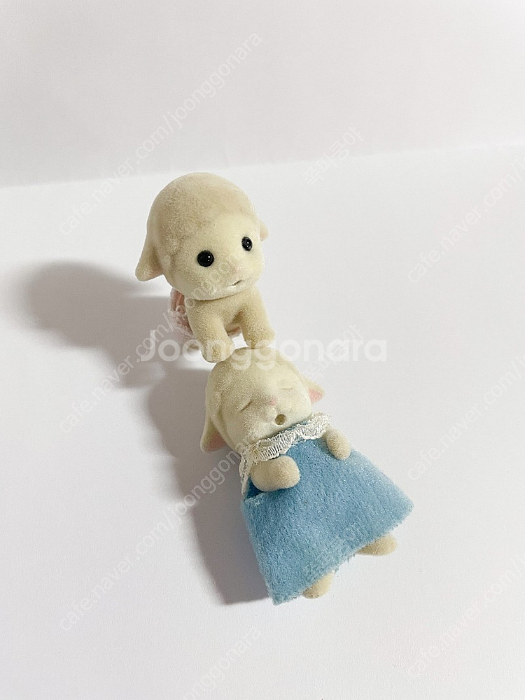 [단종/올드] 슬리핑 양쌍둥이 정리해요--1