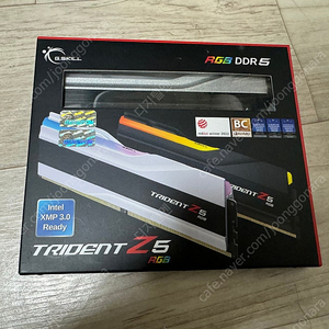 G.SKILL DDR5-6000 CL30 TRIDENT Z5 RGB 32gb 129000원