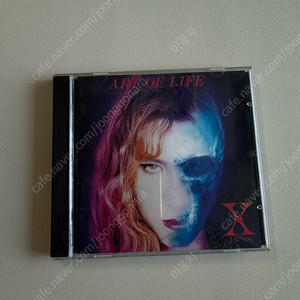 X-JAPAN 엑스제팬 art of life CD앨범