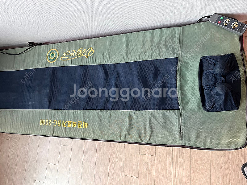비겐 의료기 마사지기 BG-2000(미건 의료기느낌)--1