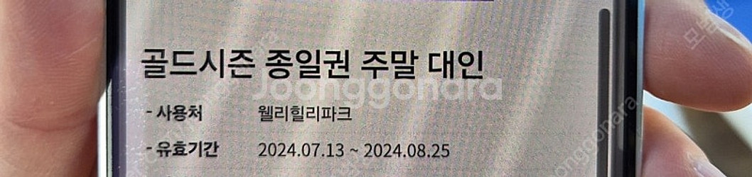 웰리힐리 워터파크 워터플래닛 골드시즌 종일권 주말 성인--1