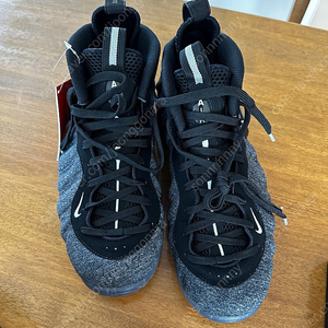 나이키 폼포짓 프로 Nike Air foamposite Pro