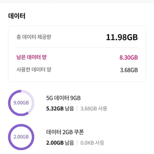 lg u+ 데이터2기가