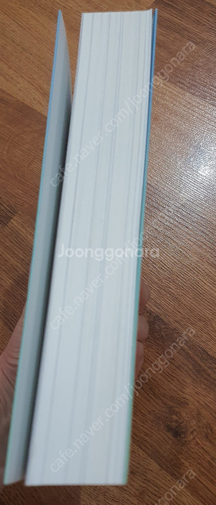 내일의 으뜸--2