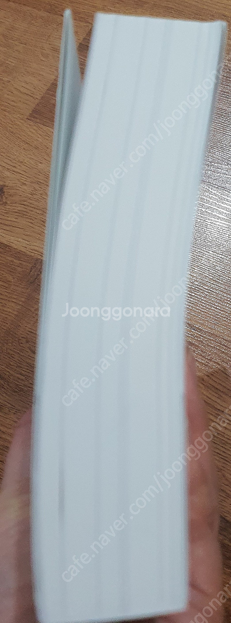 내일의 으뜸--3