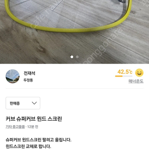 커브 슈퍼커브 윈드 스크린