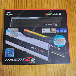 G.SKILL DDR5-6400 CL32 TRIDENT Z5 RGB J 패키지 (64G(32Gx2))