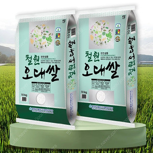 선착순)23년햅쌀 상등급 철원오대쌀10kgx2포 무료배송49900원 최근도정