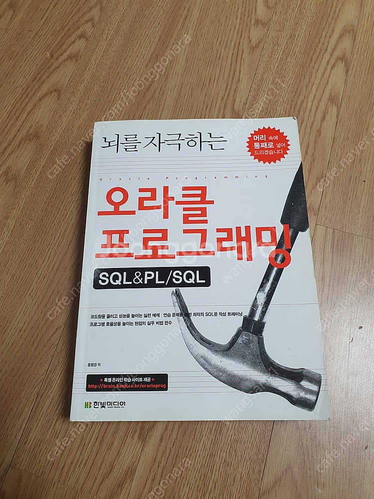 책)오라클 프로그래밍--0