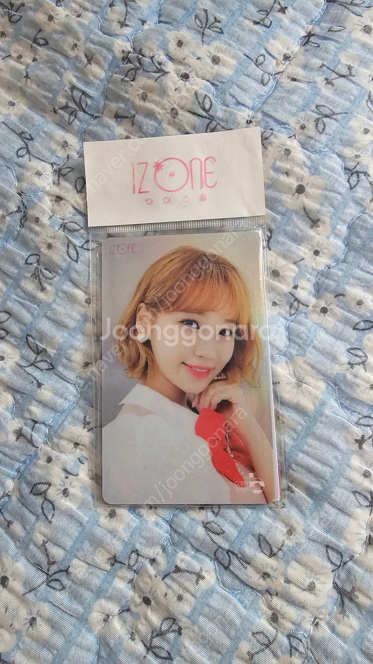 아이즈원 김채원 단체 교통카드 세트--0