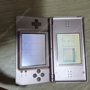 ds lite