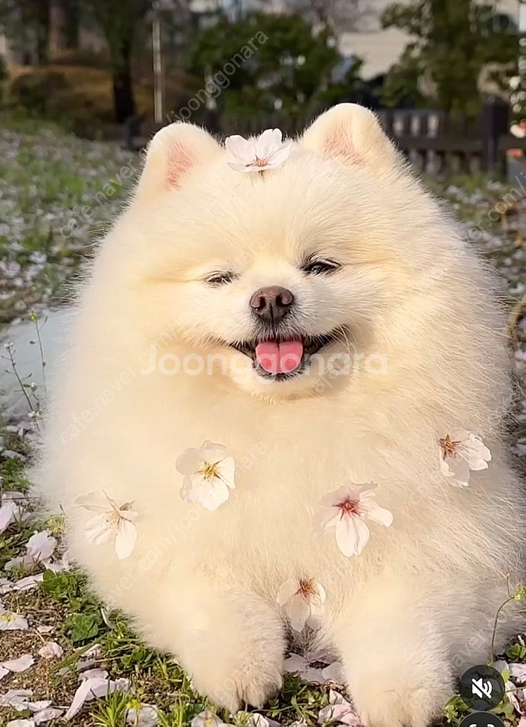 이디야 생과일1000원할인쿠폰 280원 7/27까지--0