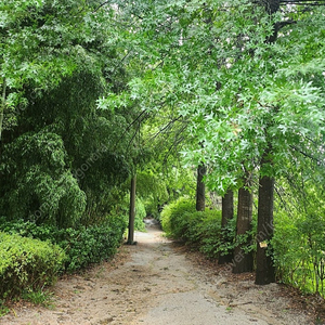 제주항공 포인트