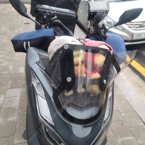 PCX125 21년식 배달세팅완료