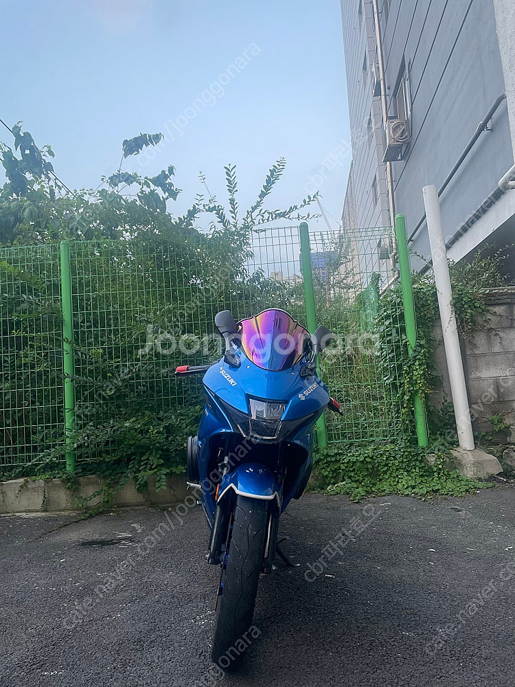 GSX-R125 2019년식--0