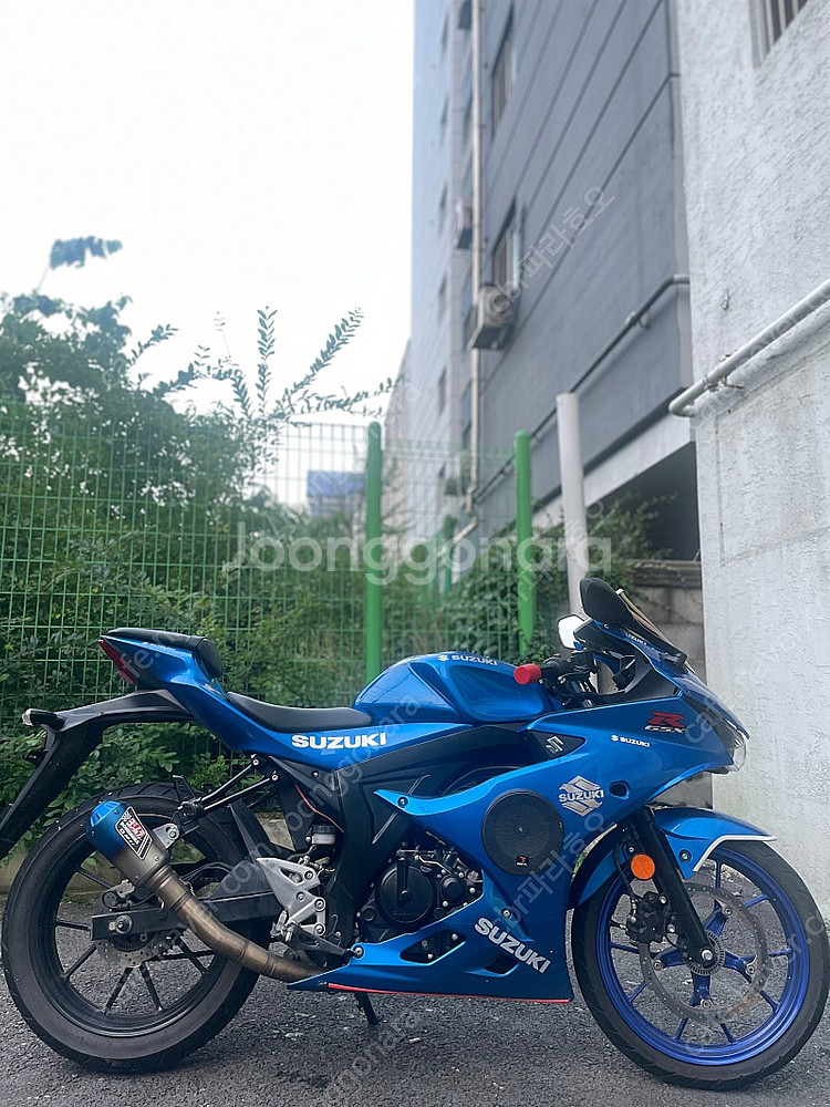 GSX-R125 2019년식--4