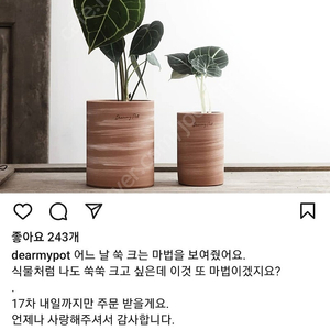 디어마이 팟 토분 판매