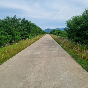 로켓콘퓨어오울아이+퀵매스패드싸게팔아요