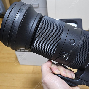 [팝니다] 시그마 스포츠 60-600mm f4.5-6.3 L마운트 팝니다 (sigma sports l mount leica panasonic lumix spro 장망원 공연 스케치