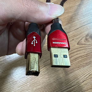 오디오퀘스트 시나몬 USB 2.0 A to B