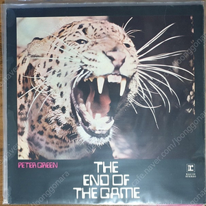 블루스락 lp, Peter Green