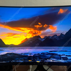 Dell Alienware OLED aw3423dw 모니터 급처 합니다