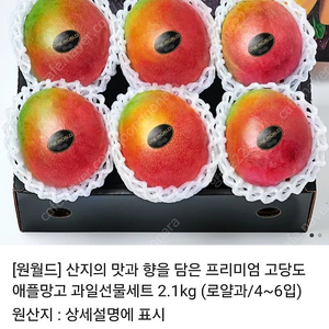 애플망고 2.1kg 카카오톡 선물하기 배송지 입력 판매