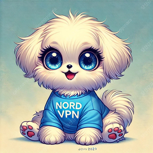 Nord VPN 2년 함께 할 파티원 모집합니다.​