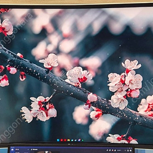 LG 38WR85QC 38인치 21:9 모니터