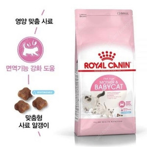 로얄캐닌 마더 앤 베이비캣 400g 한봉지