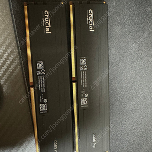 Crucial DDR5-5600 PRO 96GB cl46 (48G*2) 램