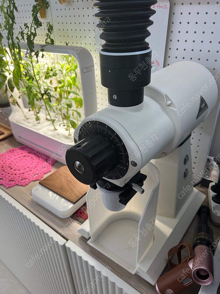 ek43s화이트 판매--1