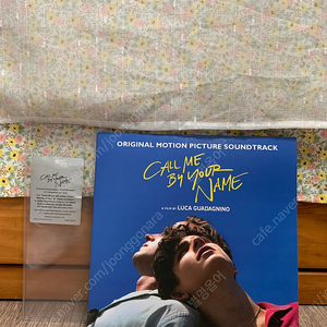 콜미바이유어네임 LP 한정판 컨트리사이드 Call Me By Your Name Limited Countryside 바이늘 바이닐